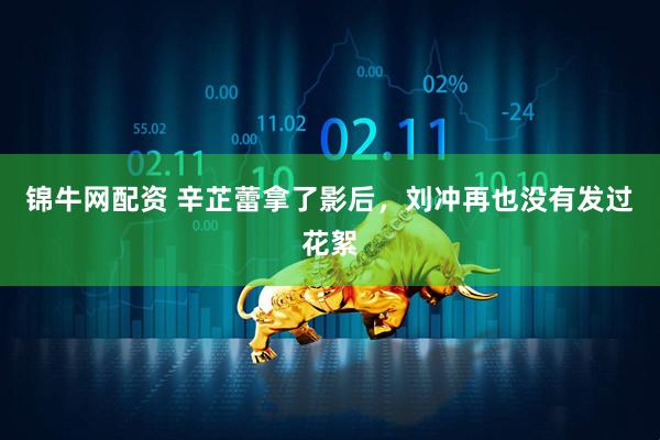 锦牛网配资 辛芷蕾拿了影后，刘冲再也没有发过花絮