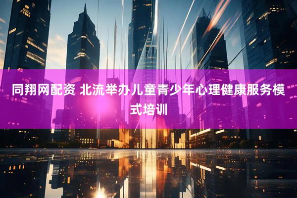 同翔网配资 北流举办儿童青少年心理健康服务模式培训