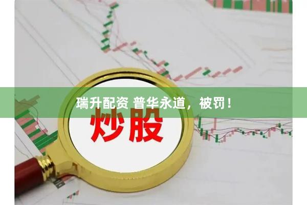 瑞升配资 普华永道，被罚！