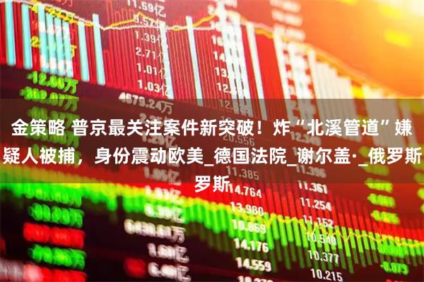 金策略 普京最关注案件新突破！炸“北溪管道”嫌疑人被捕，身份震动欧美_德国法院_谢尔盖·_俄罗斯